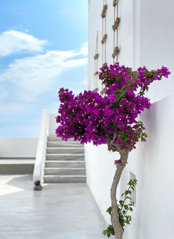 Hermoso Luxury Suites Monólithos Exterior photo